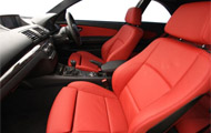 Paint Protection